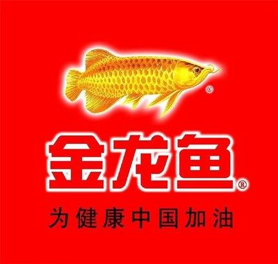 金龍魚(yú)批發(fā)【益海嘉里金龍魚(yú)批發(fā)】 龍魚(yú)百科 第4張