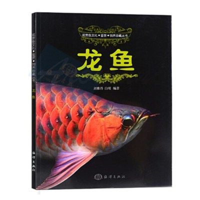 金龍魚魚苗2一5CM多少錢一對(duì)【影響金龍魚魚苗價(jià)格的因素】