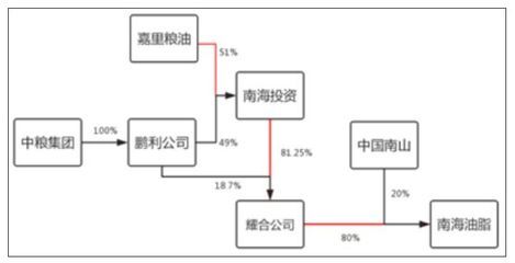 金龍魚日本人占多少股份【金龍魚是否存在日本股東涉足金龍魚的股權(quán)結(jié)構(gòu)？】 龍魚百科 第4張