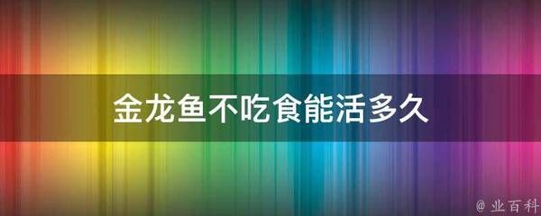 金龍魚爬背需要多久【金龍魚爬背時(shí)間因素不同品種的金龍魚在爬背時(shí)間上存在差異】 龍魚百科 第5張