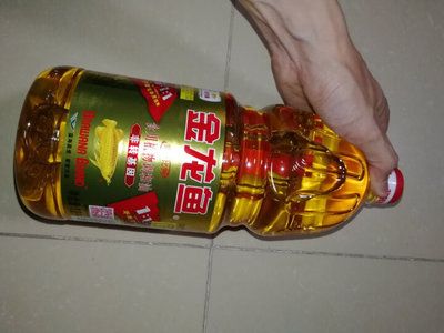 金龍魚可以只吃蝦嗎【金龍魚只吃蝦會對健康有影響嗎？】 龍魚百科 第2張