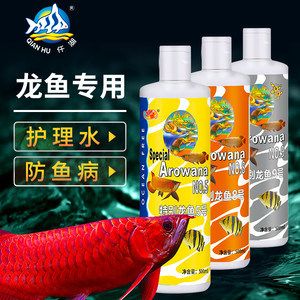 龍魚白點(diǎn)是內(nèi)細(xì)菌嗎【龍魚白點(diǎn)病是內(nèi)細(xì)菌嗎】 龍魚百科 第3張