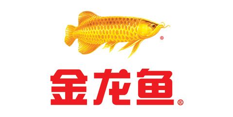 金龍魚商家排行【金龍魚連續(xù)12年蟬聯(lián)c-bpi品牌品牌榜榜首】 龍魚百科 第5張