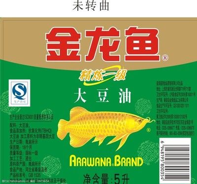 金龍魚配料【金龍魚的飼養(yǎng)與配料】