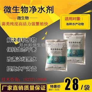 龍魚(yú)可以幾天不喂【龍魚(yú)在不喂食的情況下會(huì)對(duì)其健康造成什么影響？】