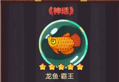 龍魚交流微信（尋找龍魚交流微信群） 龍魚百科 第3張