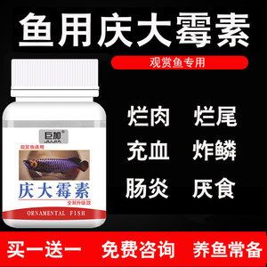 龍魚白眼病是否可以使用慶大霉素治療（慶大霉素可以治療龍魚白眼病嗎？） 龍魚百科 第2張