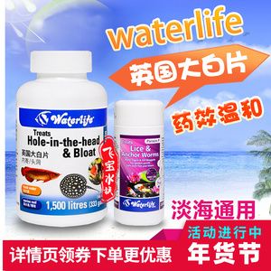 龍魚內寄外寄藥物使用指南（龍魚可以同時使用內寄和外寄藥物嗎？） 龍魚百科 第4張