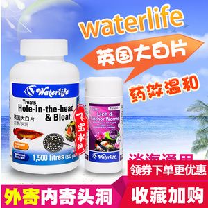 龍魚內寄外寄藥物使用指南（龍魚可以同時使用內寄和外寄藥物嗎？） 龍魚百科 第5張