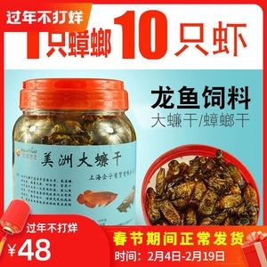 龍魚吃蟑螂干（龍魚可以吃蟑螂干嗎）