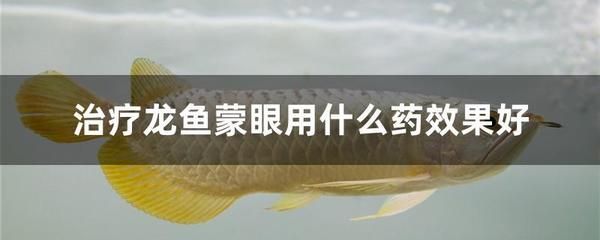 龍魚腸炎的治療（慶大霉素和土霉素使用方法） 龍魚百科 第5張