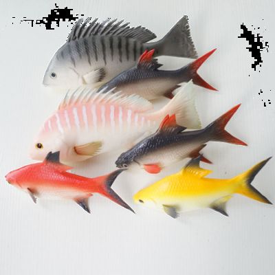 龍魚是否可以吃小羅非魚（龍魚可以吃小羅非魚嗎） 龍魚百科 第4張