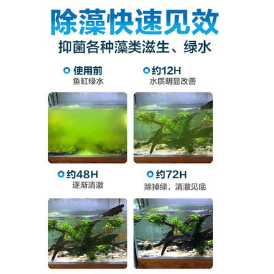 龍魚缸使用除藻劑的注意事項（在龍魚缸中使用除藻劑的種類、使用方法以及可能的風險）