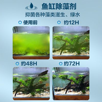 龍魚(yú)缸使用除藻劑的注意事項(xiàng)（在龍魚(yú)缸中使用除藻劑的種類、使用方法以及可能的風(fēng)險(xiǎn)） 龍魚(yú)百科 第4張