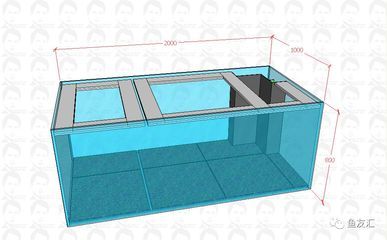 龍魚缸雙水位的必要性（龍魚缸雙水位設(shè)計(jì)有什么優(yōu)勢(shì)？） 龍魚百科 第5張