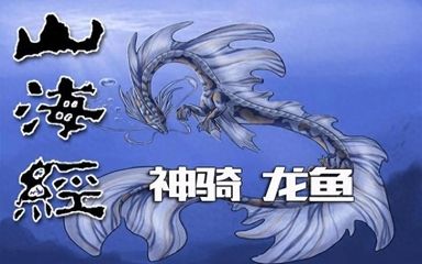 龍魚掉在地上會死嗎（龍魚掉在地上會有生命危險嗎？） 龍魚百科 第2張