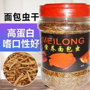 龍魚黃粉的使用頻率（龍魚黃粉使用頻率沒有直接的信息表明是否需要每天使用） 龍魚百科 第4張