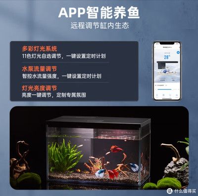 魚缸設(shè)計(jì)軟件APP推薦（智能魚缸設(shè)計(jì)軟件app推薦魚缸設(shè)計(jì)軟件app推薦） 龍魚百科 第2張