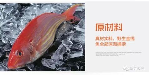 龍魚金線鼓起的原因（關于龍魚金線鼓起的原因和防治方法） 龍魚百科 第5張