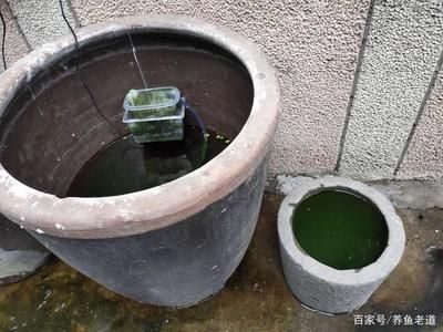 水缸改造魚缸過濾的方法（水缸改造魚缸過濾怎么弄）