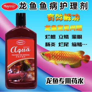 龍魚爛鰭爛尾的藥物治療（龍魚爛鰭爛尾怎么辦）