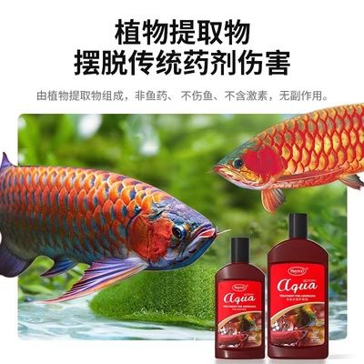 龍魚(yú)爛鰭爛尾的藥物治療（龍魚(yú)爛鰭爛尾怎么辦） 龍魚(yú)百科 第4張