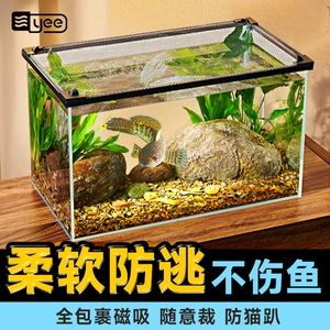 龍魚跳缸后的存活情況（龍魚跳缸后是否能存活） 龍魚百科 第4張