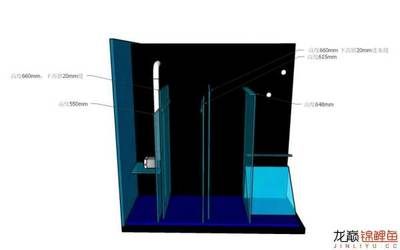 雙上水雙下水底濾魚缸設(shè)計(jì)圖（雙上水雙上水雙下水底濾魚缸設(shè)計(jì)圖設(shè)計(jì)圖設(shè)計(jì)特點(diǎn)） 龍魚百科 第2張