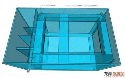 雙上水雙下水底濾魚缸設(shè)計(jì)圖（雙上水雙上水雙下水底濾魚缸設(shè)計(jì)圖設(shè)計(jì)圖設(shè)計(jì)特點(diǎn)） 龍魚百科 第3張