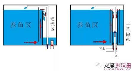 雙上水雙下水底濾魚缸設(shè)計(jì)圖（雙上水雙上水雙下水底濾魚缸設(shè)計(jì)圖設(shè)計(jì)圖設(shè)計(jì)特點(diǎn)） 龍魚百科 第4張