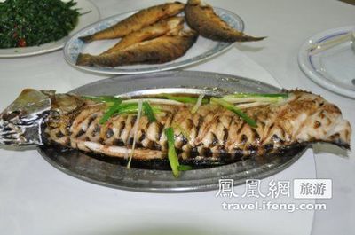 龍魚是否可以吃煮熟的蝦（關(guān)于龍魚可以吃煮熟的蝦，存在不同的觀點(diǎn)和建議和建議） 龍魚百科 第4張