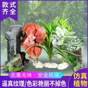 龍魚缸內(nèi)放置什么植物好（適合在魚缸中養(yǎng)殖的植物有哪些？） 龍魚百科 第2張