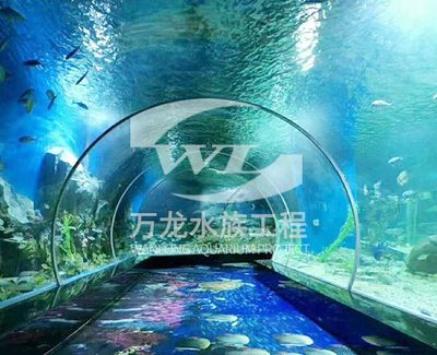 龍魚冬天水溫控制（冬季養(yǎng)龍魚時(shí)，水溫控制在26到28攝氏度之間最為適宜） 龍魚百科 第5張