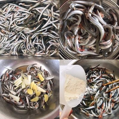 龍魚是否可以喂面條魚吃（面條魚可以作為龍魚的食物之一） 龍魚百科 第3張