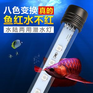 龍魚潛水燈45度（向上傾斜45度,對龍魚健康的影響） 龍魚百科 第3張