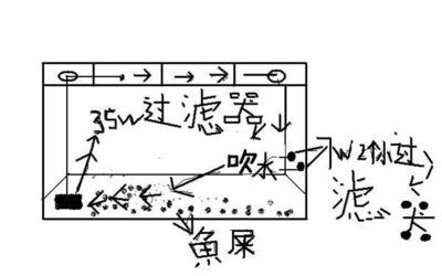 龍魚(yú)蒙眼不吃食怎么辦（龍魚(yú)蒙眼不吃食是一個(gè)常見(jiàn)的問(wèn)題并采取相應(yīng)對(duì)策略） 龍魚(yú)百科 第2張