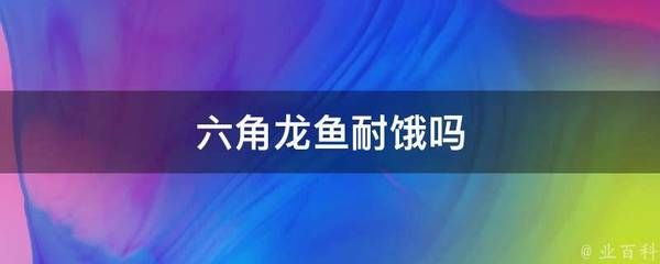 龍魚耐餓嗎（龍魚具有一定的耐餓能力但長時間饑餓對它們的健康不利） 龍魚百科 第3張