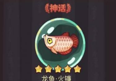 龍魚微信群（加入龍魚微信群需要注意什么？） 龍魚百科 第4張