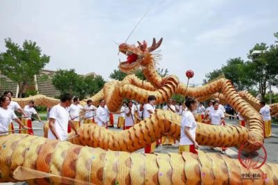 龍魚世界紀錄（世界最長龍舟在吉尼斯世界紀錄中創(chuàng)造了世界紀錄） 龍魚百科 第4張