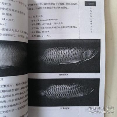 龍魚(yú)飼養(yǎng)手冊(cè)電子書(shū)（《龍魚(yú)飼養(yǎng)手冊(cè)》電子書(shū)pdf下載鏈接可用不直接可用）