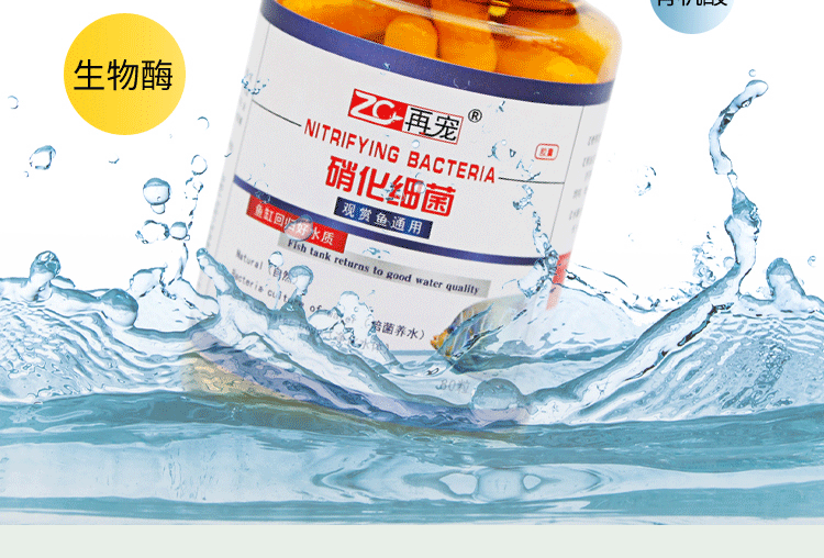 龍魚能用水質穩(wěn)定劑和硝化細菌（龍魚可以使用水質穩(wěn)定劑嗎？） 龍魚百科 第5張