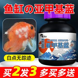 龍魚能用亞甲基藍殺菌嗎（亞甲基藍在龍魚護理中的應用）