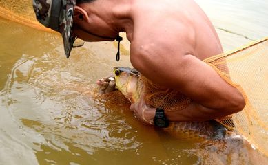 龍魚身體傾斜（龍魚身體傾斜可能由多種原因引起） 龍魚百科 第5張