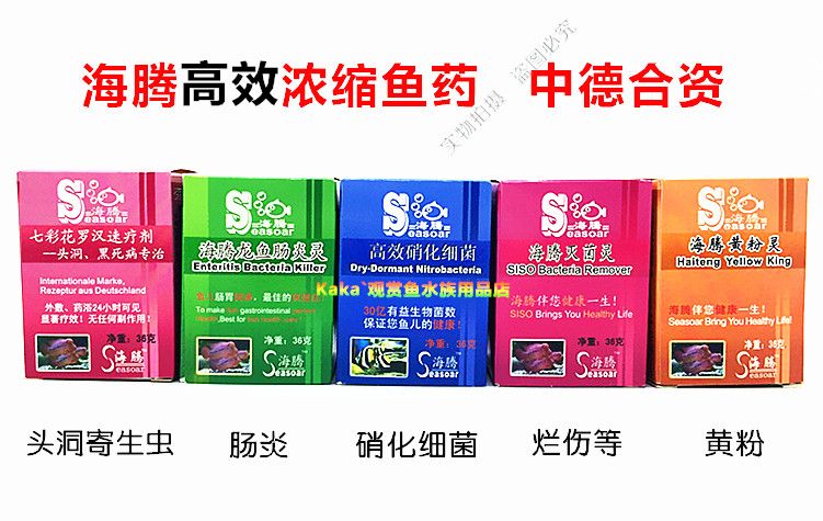 龍魚用哪個牌子的藥效果好（龍魚專用藥品牌sera龍魚專用藥使用方法） 龍魚百科 第1張