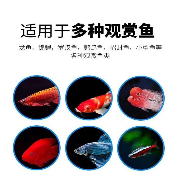 龍魚用甲基藍(lán)（關(guān)于甲基藍(lán)治療龍魚的具體步驟和注意事項） 龍魚百科 第5張