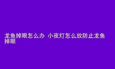 龍魚(yú)夜燈放在什么位置（關(guān)于龍魚(yú)夜燈的最佳擺放位置）