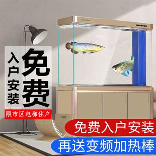 龍魚一直把頭放在缸底（為什么龍魚把頭放在缸底？） 龍魚百科 第5張