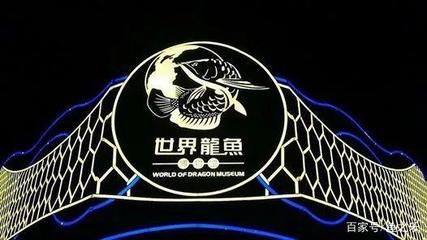 龍魚夜晚急游怎么回事（龍魚在夜晚急游怎么回事） 龍魚百科 第1張