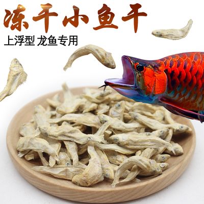 龍魚喂小活魚好還是小魚干好（龍魚喂小活魚好還是小魚干好，） 龍魚百科 第2張