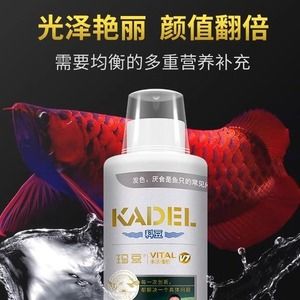 龍魚益生菌和維他命管用嗎（龍魚益生菌對(duì)龍魚的健康有多方面好處龍魚益生菌和維他命管用嗎） 龍魚百科 第2張